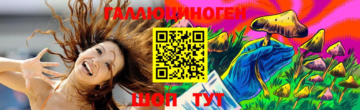 Псилоцибиновые грибы Psilocybine cubensis  Вход с VPN  Советская Гавань 